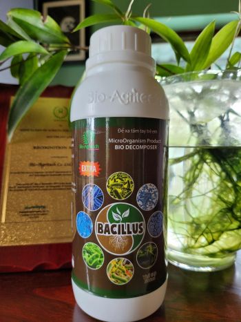 EXTRA BACILLUS